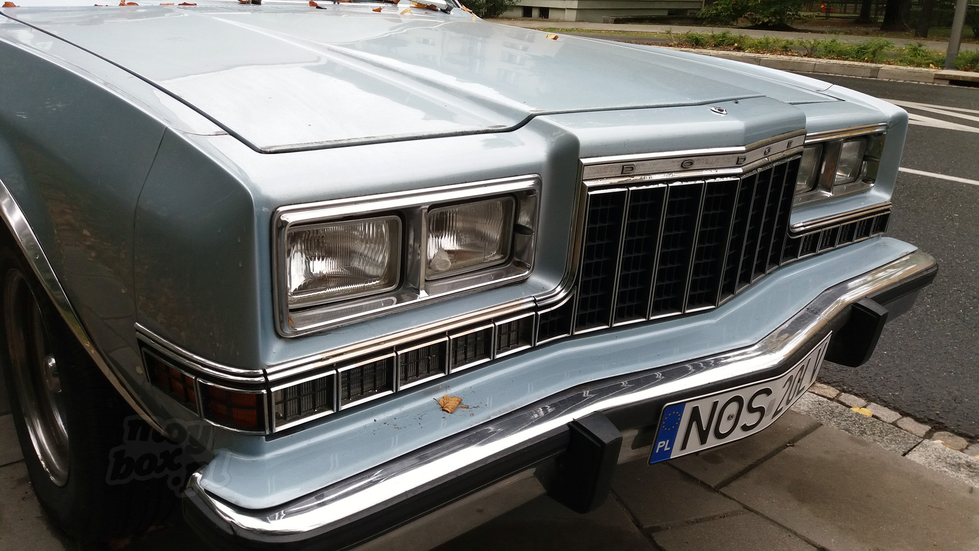 Dodge Diplomat II